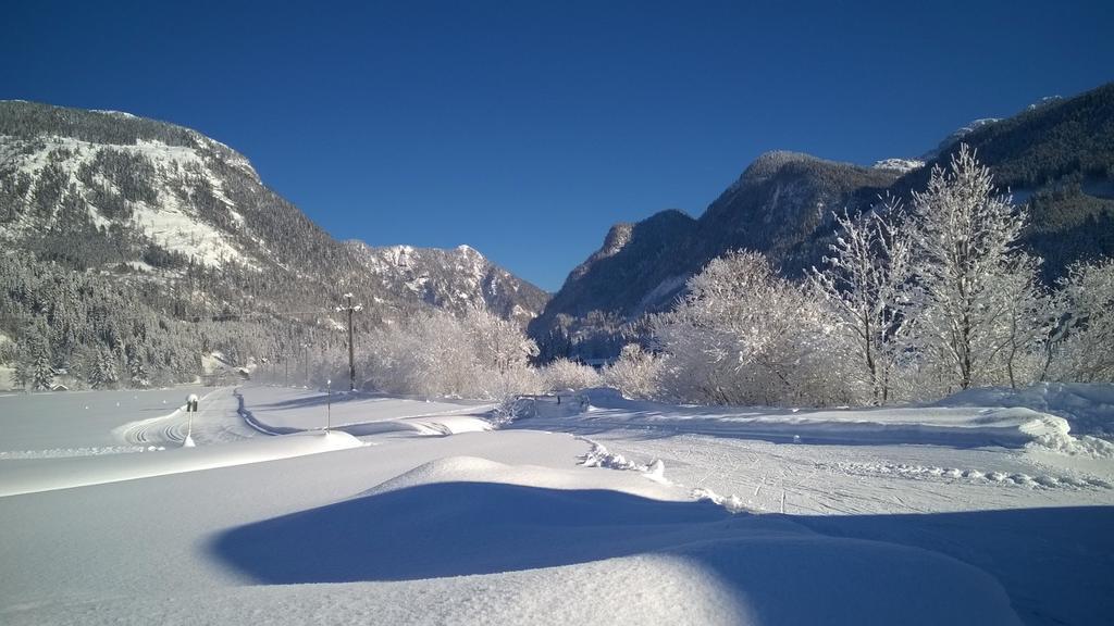 Appartementhaus Wehrenfennig Gosau Luaran gambar